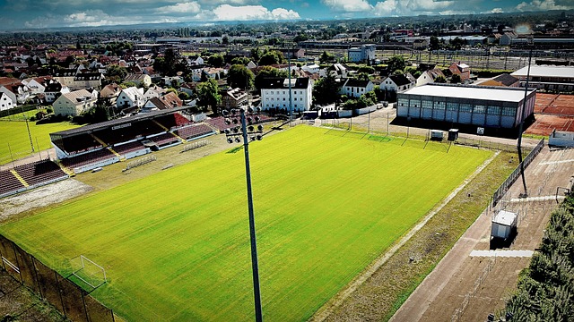 导致无法达 导致无法达