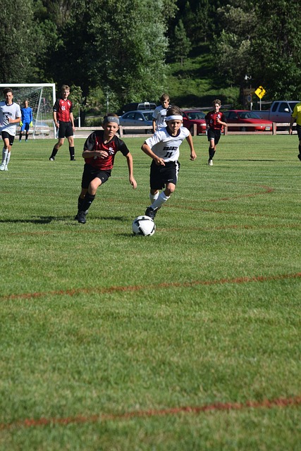 心理优势源 心理优势源